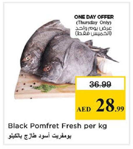 available at نستو هايبرماركت in الإمارات العربية المتحدة , الامارات - أبو ظبي