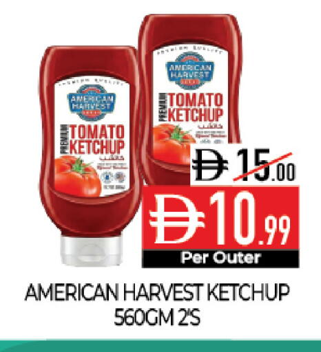 Tomato available at Delice Supermarket in UAE - Abu Dhabi
