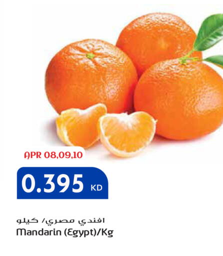 Mandarin from Egypt available at جراند هايبر in الكويت - محافظة الأحمدي