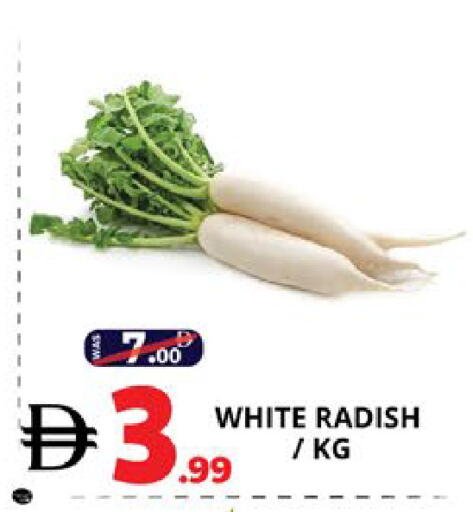 Radish available at EXPRESS AL MADEENA HYPERMARKET LLC in UAE - Abu Dhabi