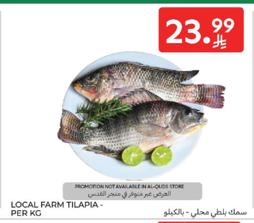 available at كارفور in مملكة العربية السعودية, السعودية, سعودية - المدينة المنورة