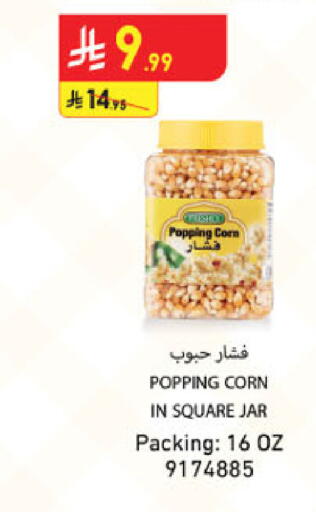 available at الدانوب in مملكة العربية السعودية, السعودية, سعودية - المدينة المنورة