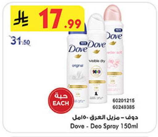 available at بن داود in مملكة العربية السعودية, السعودية, سعودية - المدينة المنورة