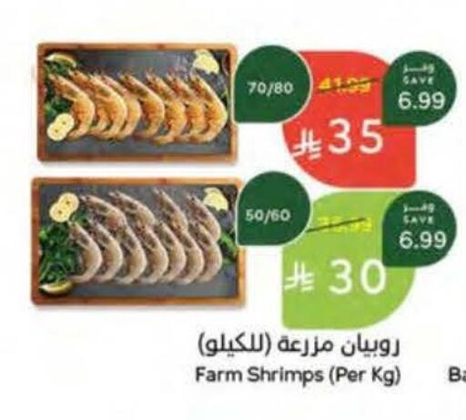 available at Hyper Panda in KSA, Saudi Arabia, Saudi - Bishah
