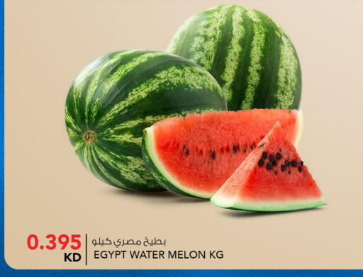 Melon from Egypt available at النصر هايبر ماركت in الكويت - محافظة الأحمدي