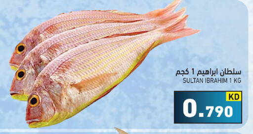 available at  رامز in الكويت - محافظة الأحمدي