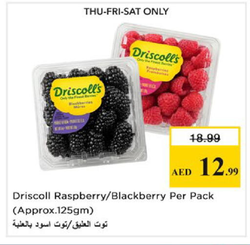 Raspberry Blackberry available at Nesto Hypermarket in UAE - Ras al Khaimah