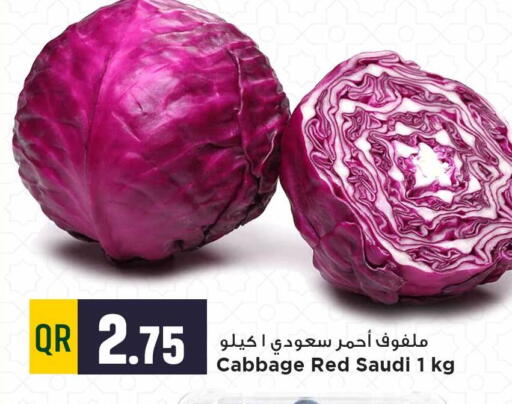Cabbage from Saudi Arabia available at مرزا هايبرماركت in قطر - الخور