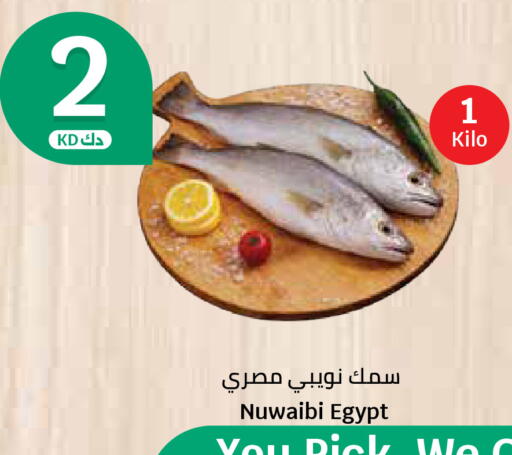 available at سيتي هايبرماركت in الكويت - مدينة الكويت