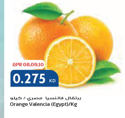 Orange from Egypt available at جراند كوستو in الكويت - محافظة الأحمدي