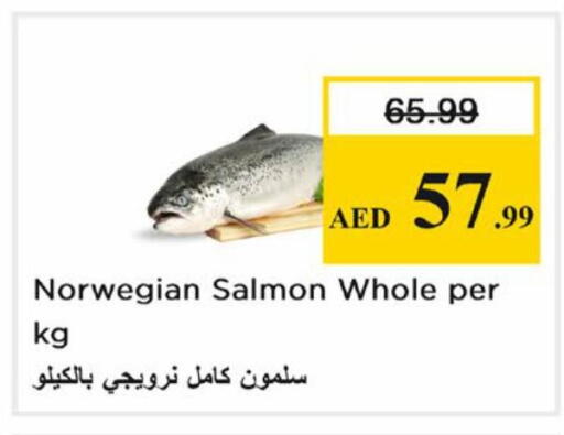 available at نستو هايبرماركت in الإمارات العربية المتحدة , الامارات - دبي