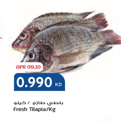 available at جراند كوستو in الكويت - محافظة الأحمدي