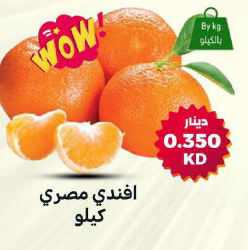 available at شركة سوق ميم المركزي  in الكويت - مدينة الكويت