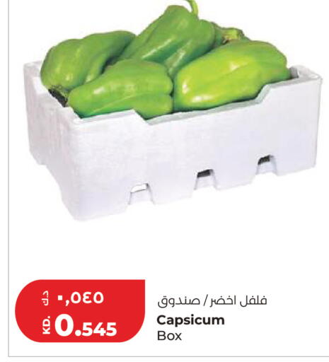 Capsicum available at Lulu Hypermarket  in Kuwait - Ahmadi Governorate