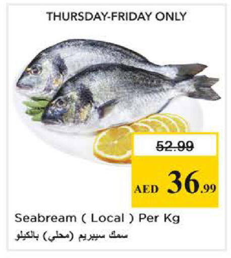 available at نستو هايبرماركت in الإمارات العربية المتحدة , الامارات - أبو ظبي