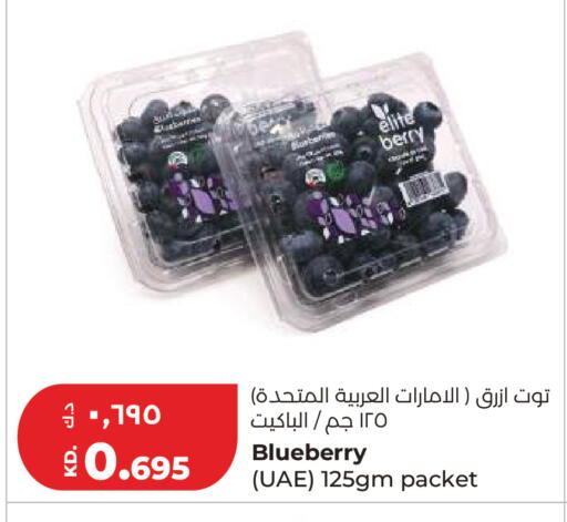 Blueberry BlueBerry available at لولو هايبر ماركت in الكويت - محافظة الأحمدي