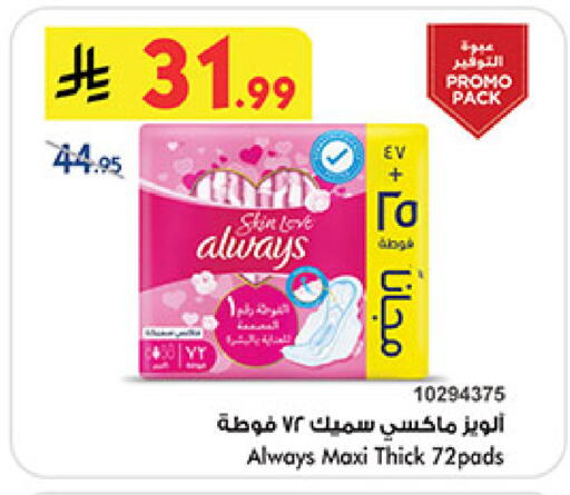 available at بن داود in مملكة العربية السعودية, السعودية, سعودية - المدينة المنورة