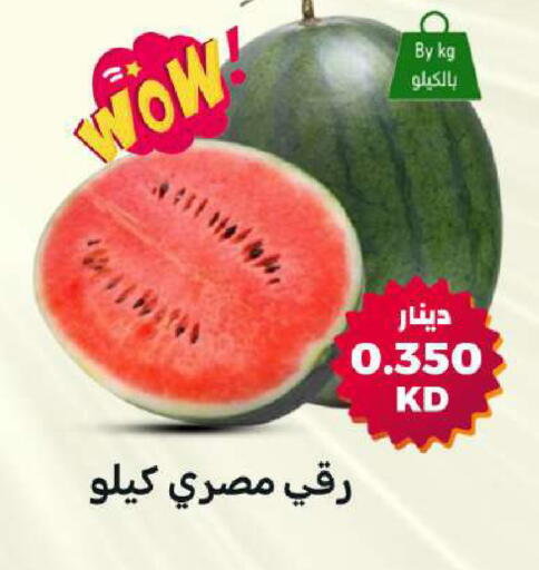 available at شركة سوق ميم المركزي  in الكويت - مدينة الكويت