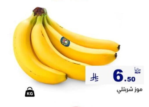 available at أسواق رامز in مملكة العربية السعودية, السعودية, سعودية - تبوك