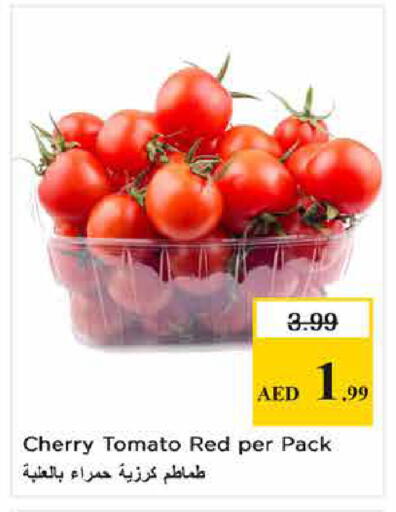 Cherry Cherry tomato available at لاست تشانس in الإمارات العربية المتحدة , الامارات - ٱلْفُجَيْرَة‎