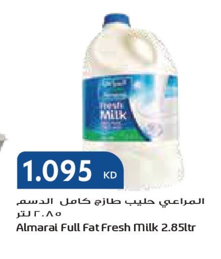 available at Grand Costo in Kuwait - Kuwait City