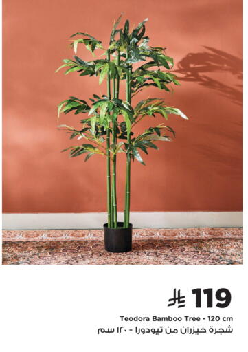 available at Home Box in KSA, Saudi Arabia, Saudi - Al Khobar