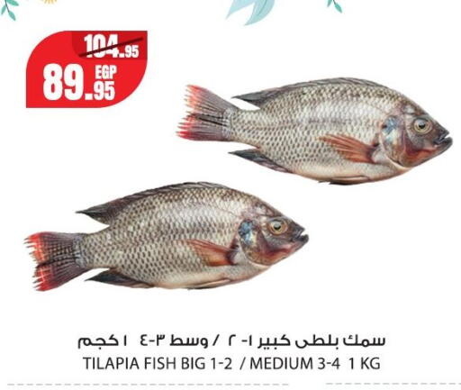 available at Géant Egypt in Egypt - Cairo