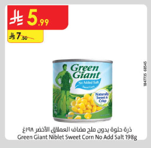 available at الدانوب in مملكة العربية السعودية, السعودية, سعودية - المدينة المنورة