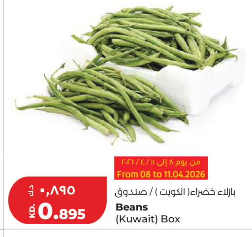 from Kuwait available at Lulu Hypermarket  in Kuwait - Ahmadi Governorate