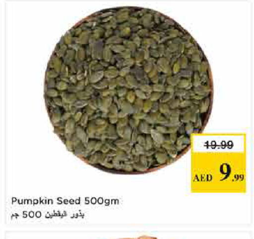 Pumpkin available at لاست تشانس in الإمارات العربية المتحدة , الامارات - ٱلْفُجَيْرَة‎