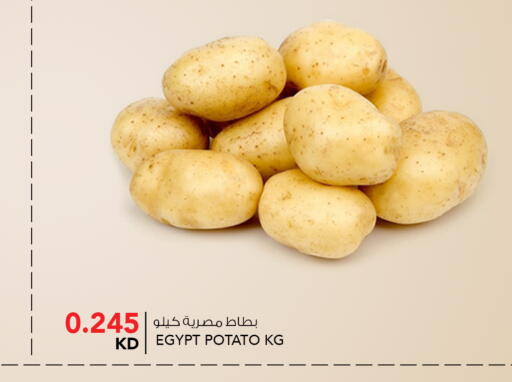 Potato from Egypt available at  ALNASSER HYPERMARKET in Kuwait - Kuwait City
