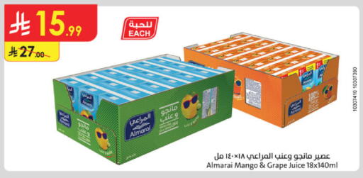 Mango available at Danube in KSA, Saudi Arabia, Saudi - Khamis Mushait