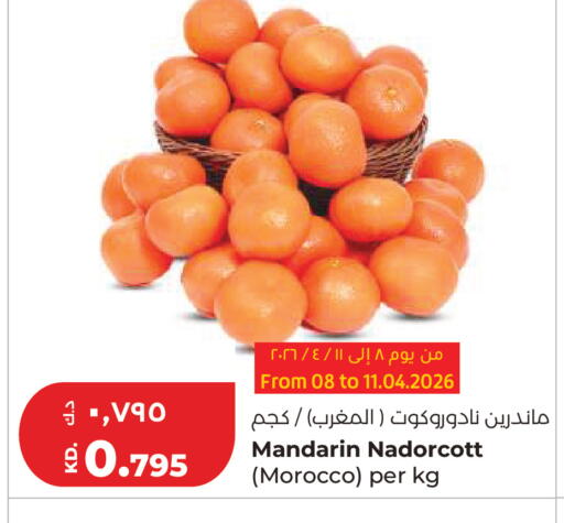 Mandarin from Morocco available at لولو هايبر ماركت in الكويت - محافظة الأحمدي