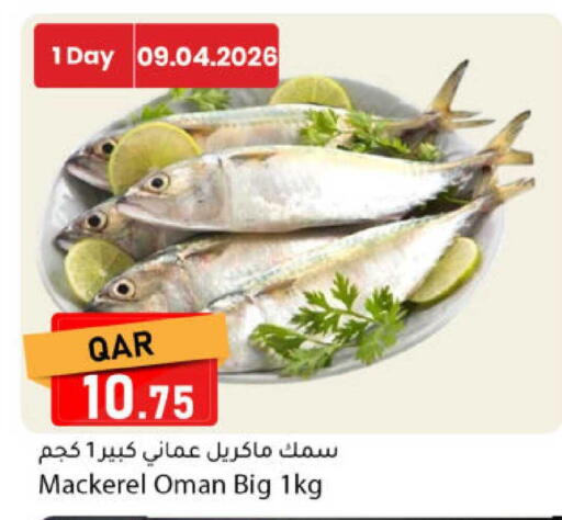 available at دانا ماركت in قطر - الدوحة