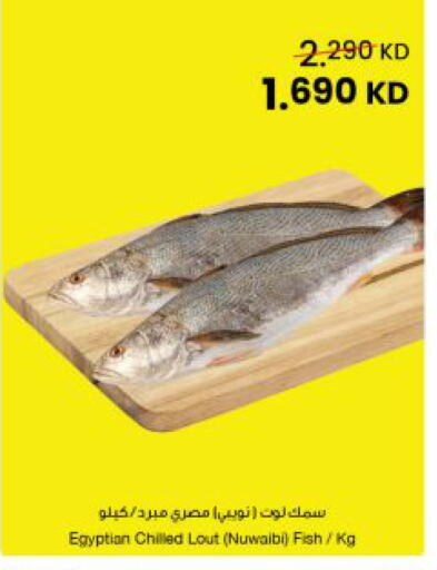 available at The Sultan Center in Kuwait - Kuwait City