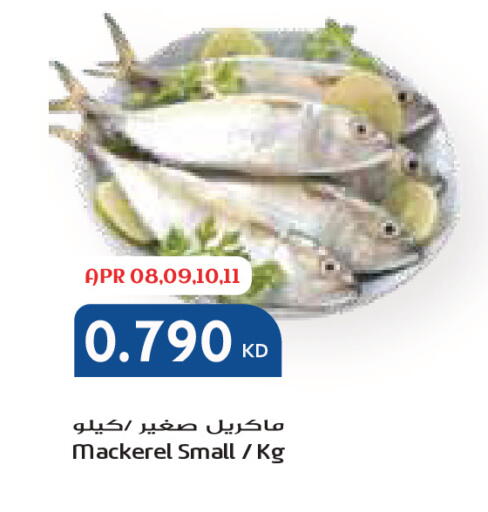 available at جراند كوستو in الكويت - محافظة الأحمدي