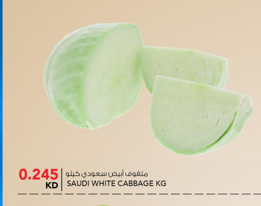 Cabbage from Saudi Arabia available at  ALNASSER HYPERMARKET in Kuwait - Ahmadi Governorate