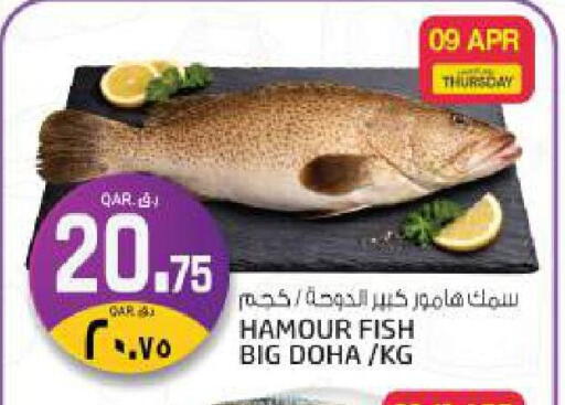 available at كنز ميني مارت in قطر - الشمال