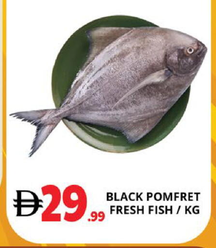 available at EXPRESS AL MADEENA HYPERMARKET LLC in UAE - Abu Dhabi