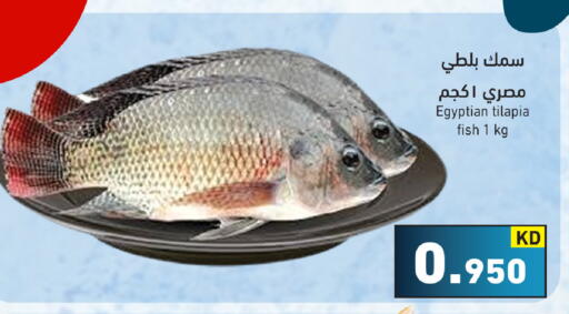 available at  رامز in الكويت - محافظة الأحمدي