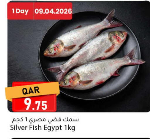 available at دانا ماركت in قطر - الدوحة