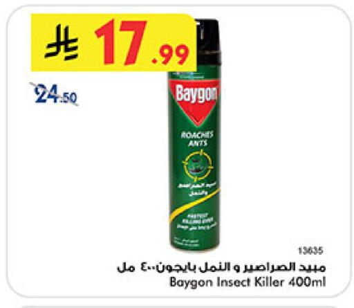 available at بن داود in مملكة العربية السعودية, السعودية, سعودية - المدينة المنورة