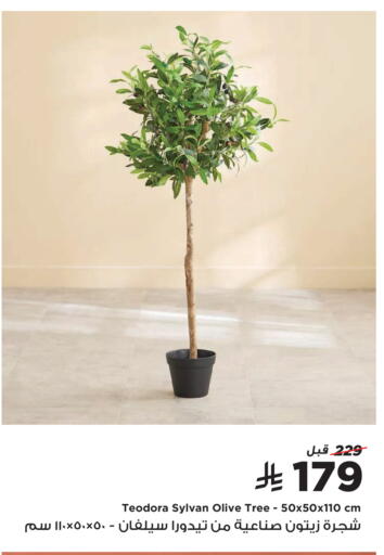 available at Home Box in KSA, Saudi Arabia, Saudi - Al Khobar