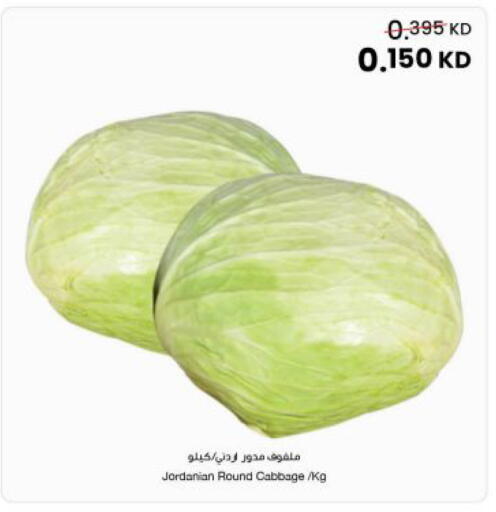Cabbage from Jordan available at The Sultan Center in Kuwait - Ahmadi Governorate
