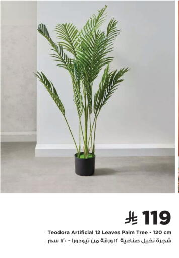 available at Home Box in KSA, Saudi Arabia, Saudi - Al Khobar