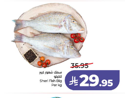 available at لولو هايبرماركت in مملكة العربية السعودية, السعودية, سعودية - جدة