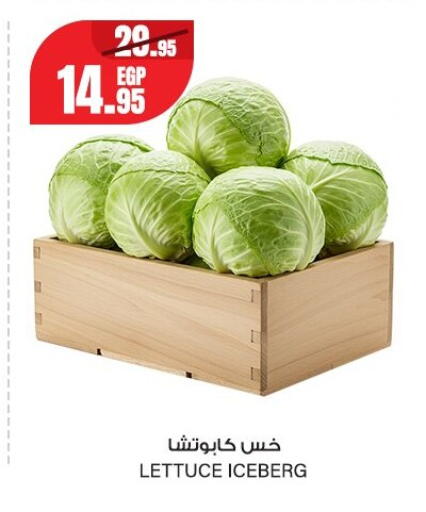 Lettuce from Egypt available at Géant Egypt in Egypt - Cairo
