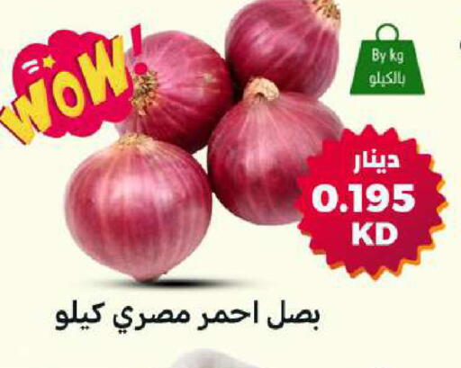 available at شركة سوق ميم المركزي  in الكويت - مدينة الكويت