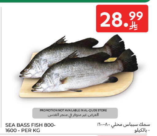 available at كارفور in مملكة العربية السعودية, السعودية, سعودية - المدينة المنورة