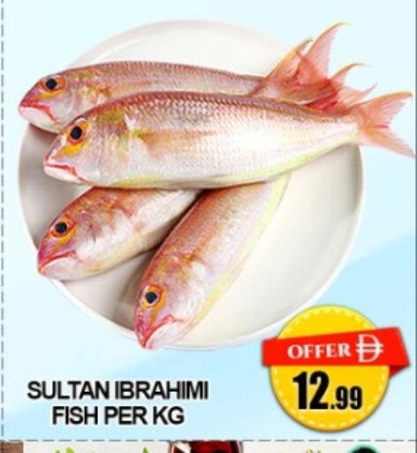 available at Green Gift Department Store in UAE - Dubai